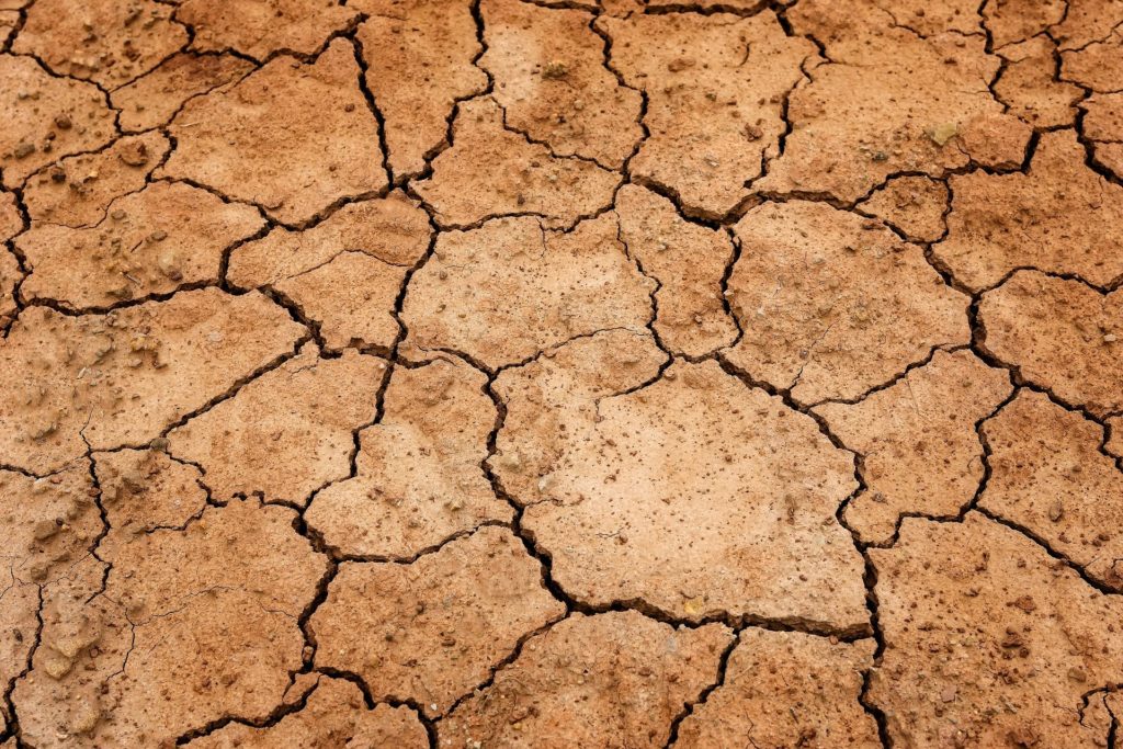 Image de couverture - La sécheresse s’aggrave : 5 secteurs en crise, niveau le plus élevé 4/4