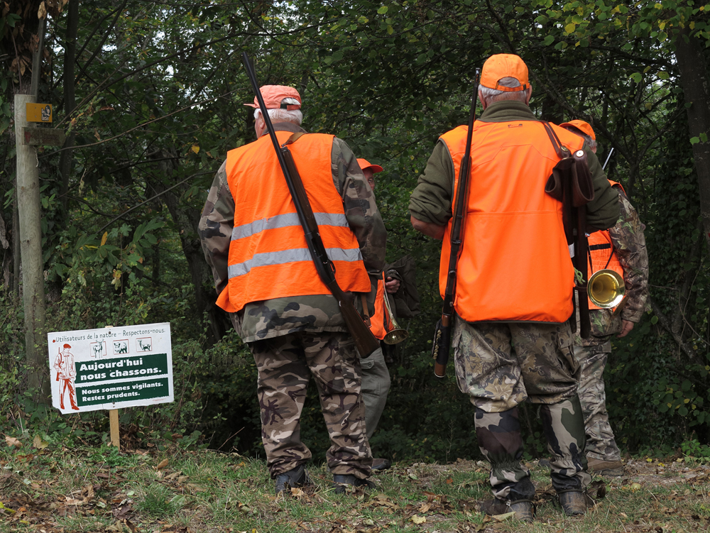 Image de couverture - Ouverture de la chasse