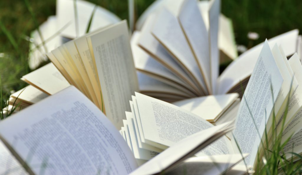 Image de couverture - La bibliothèque reste ouverte !