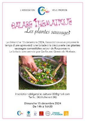 Image de couverture - CULTUR'AIR - BALADE THEMATIQUE LES PLANTES SAUVAGES