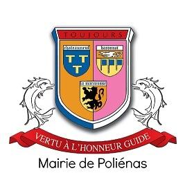 Logo POLIENAS