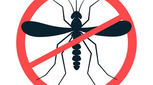 Image de couverture - Lutte contre les moustiques
