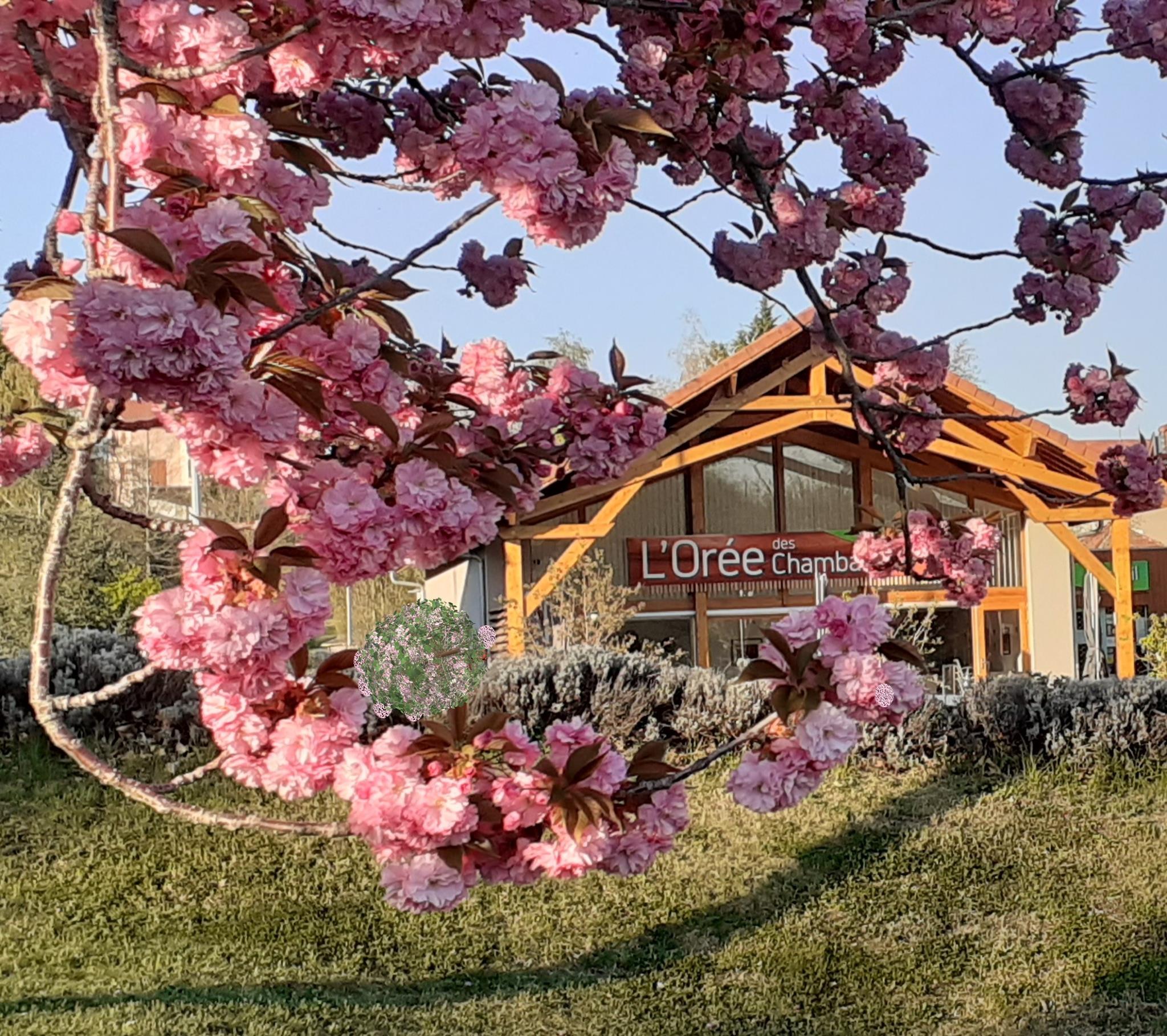 Image de couverture - Auberge L'orée des Chambaran