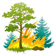 Image de couverture - Risques feux de forêt dans le bas Chablais.