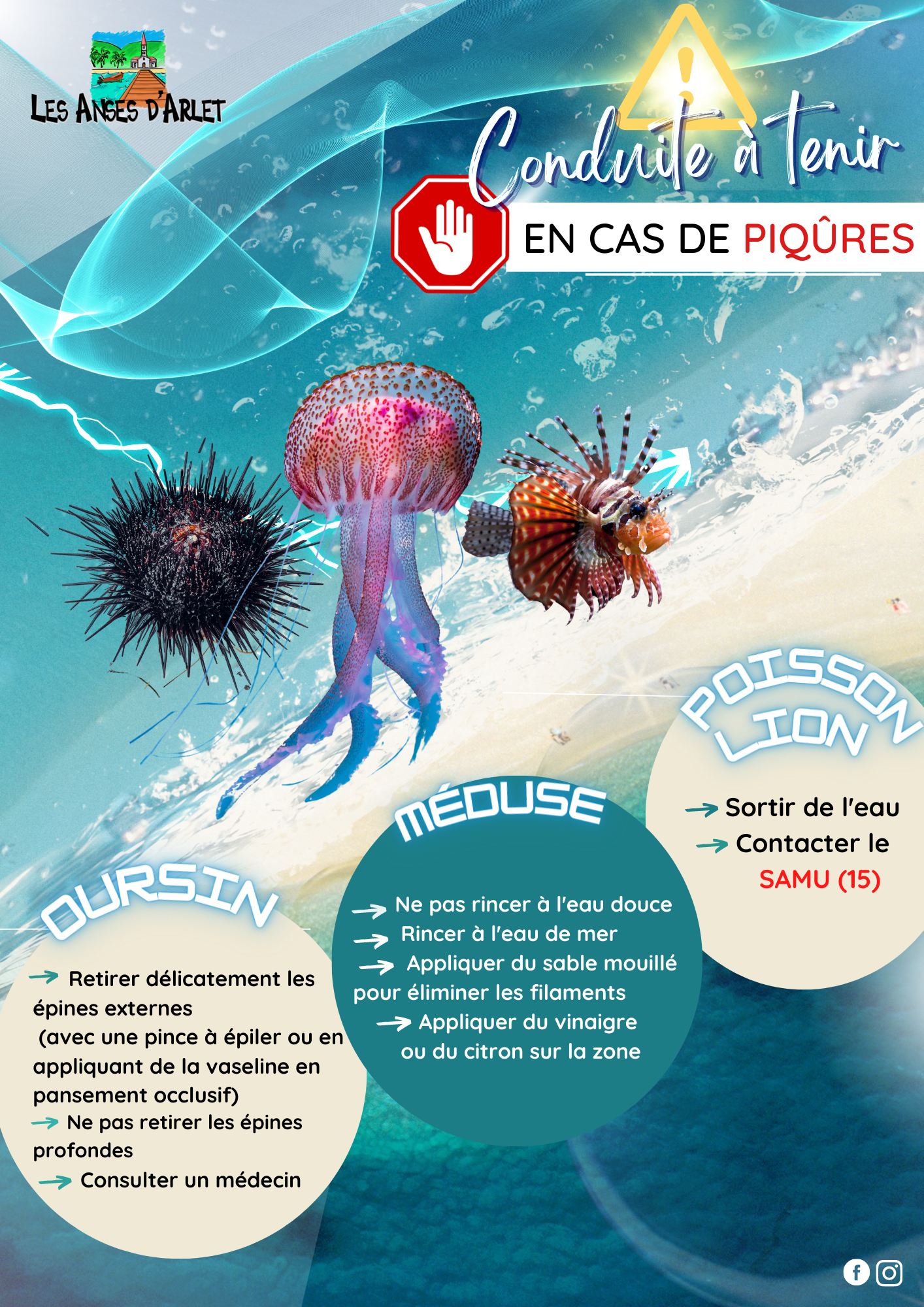 Image de couverture - CONDUITE A TENIR EN CAS DE PIQURES | MEDUSE/OURSIN/POISSON LION