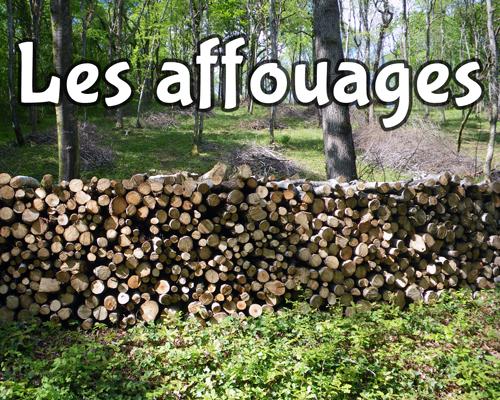 Image de couverture - INFO AFFOUAGE