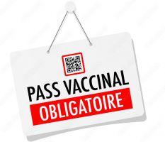 Image de couverture - Le pass vaccinal en sept questions-réponses