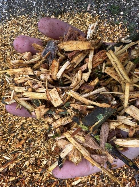 Image de couverture - Réaliser un paillage pour vos massifs