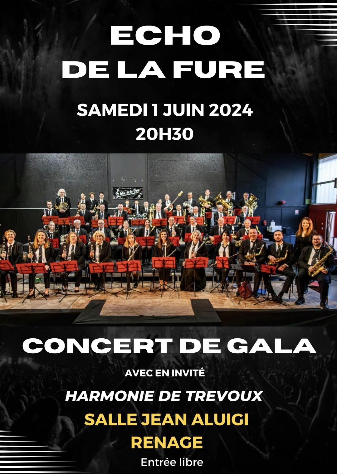 Image de couverture - [CONCERT DE GALA  - ECHO DE LA FURE]