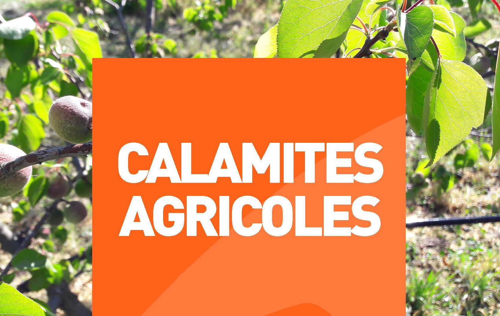 Image de couverture - Information calamités agricoles (épisodes de grêle récents)