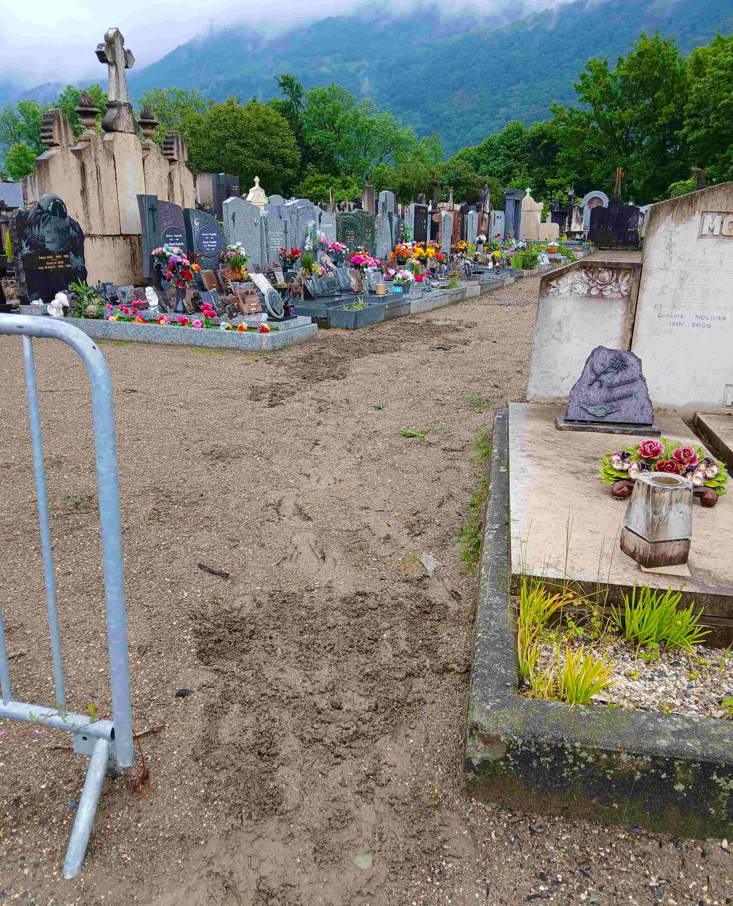 Image de couverture - SEMIS DE GAZON AU CIMETIÈRE