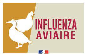 Image de couverture - Mise en place d'une zone réglementée suite détection cas d'influenza aviaire autour du lac du Der