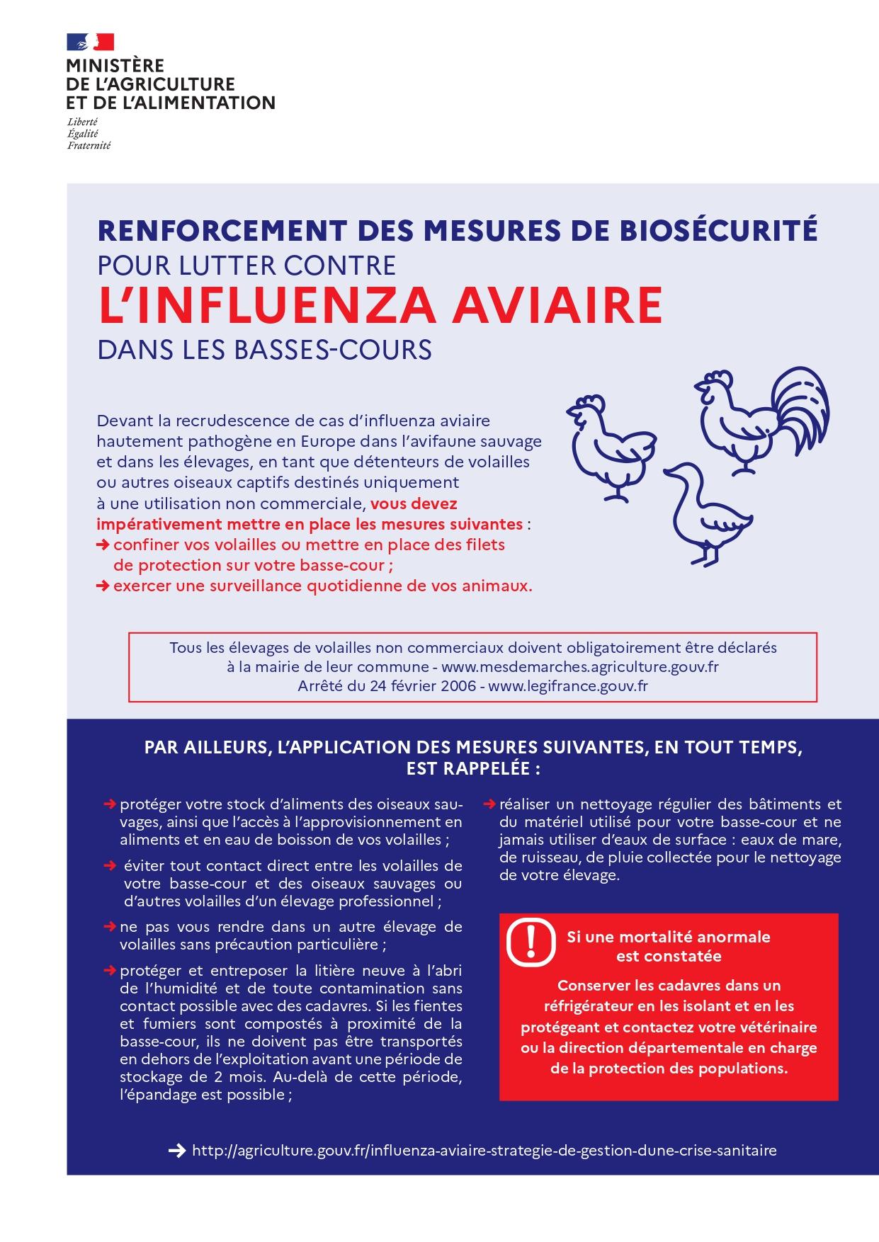 Image de couverture - Relèvement du risque Influenza aviaire "élevé"