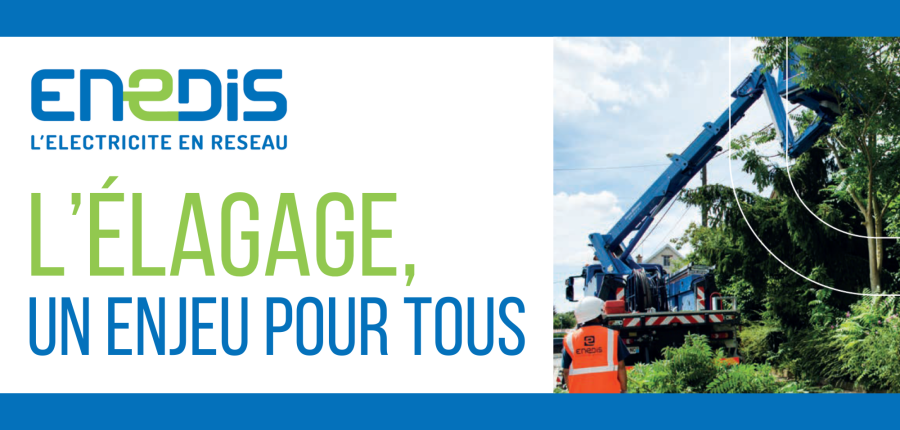 Image de couverture - Travaux l'élagage à proximité des lignes haute tension par Enedis