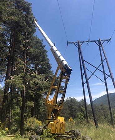 Image de couverture - Travaux d’élagage sous la ligne à haute tension !