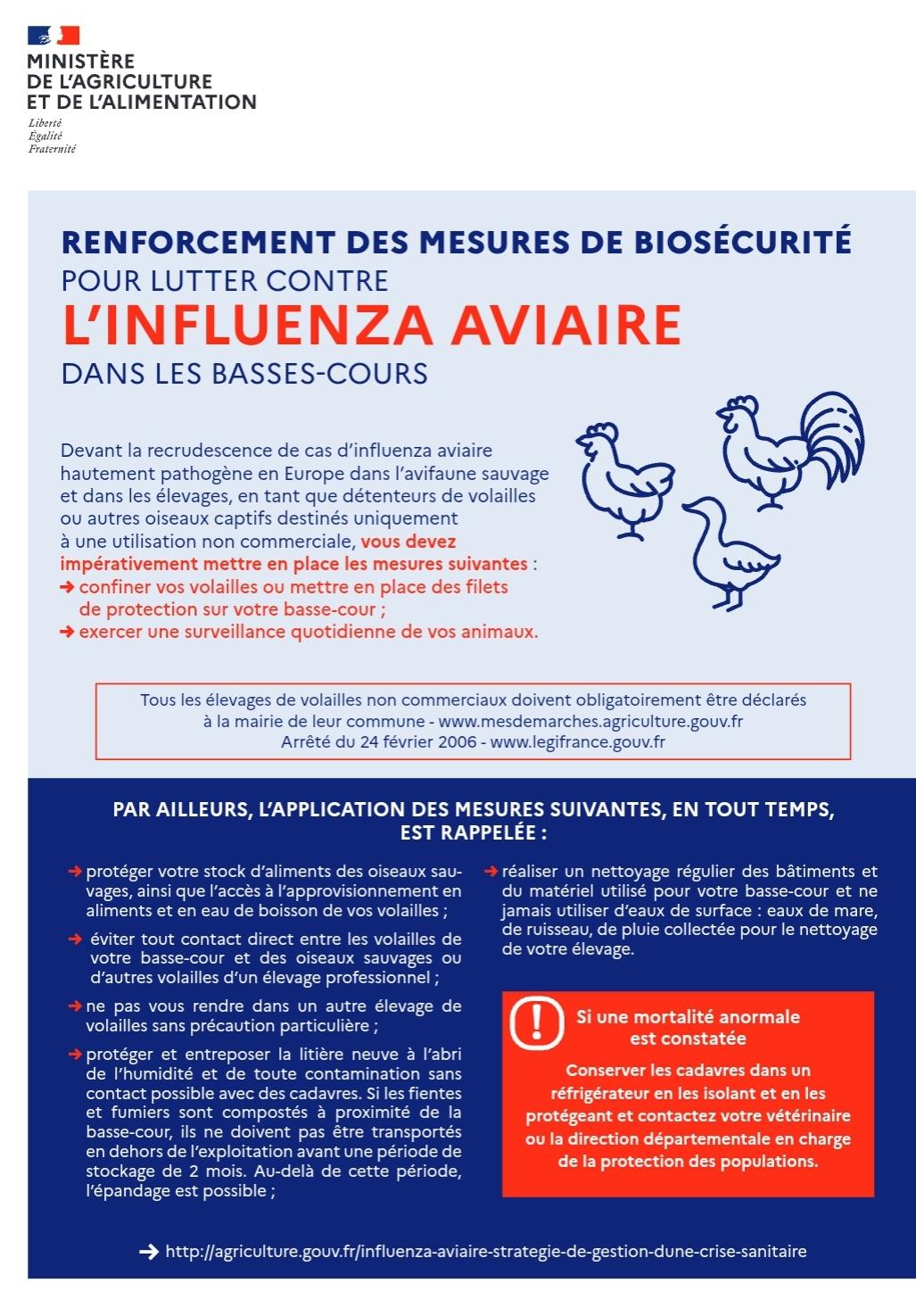 Image de couverture - INFO: l'influenza aviaire