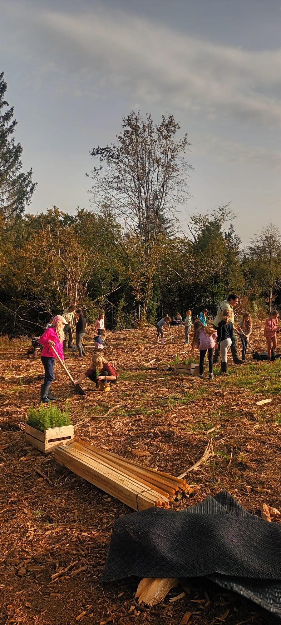 Image de couverture - L’appel de la forêt…