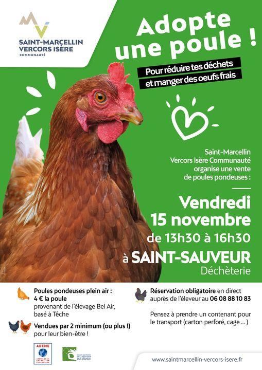 Image de couverture - Adopte une poule !