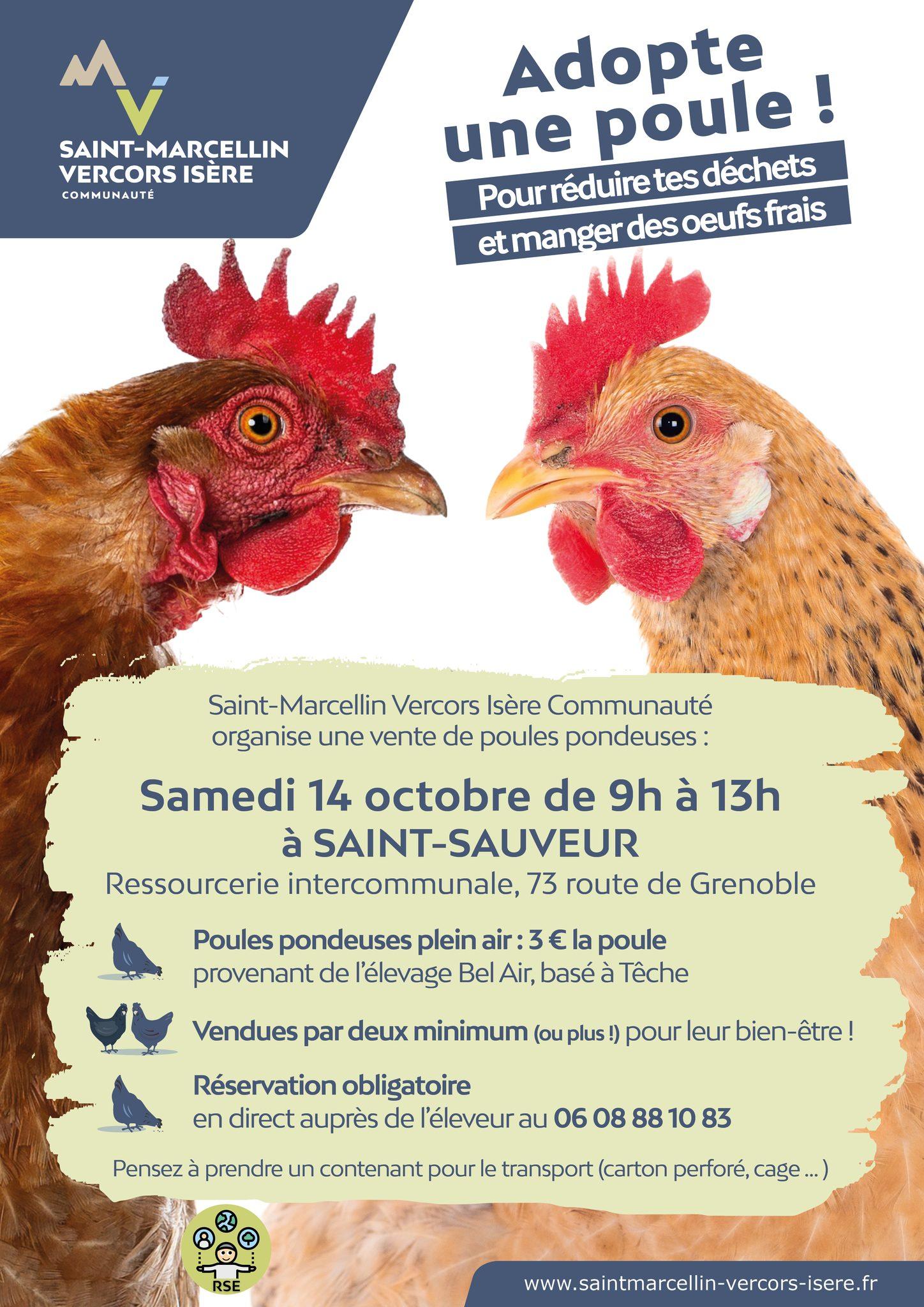 Image de couverture - Adopte une poule